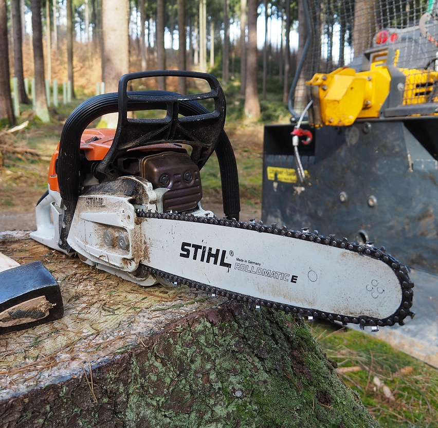 チェーンソーで伐採