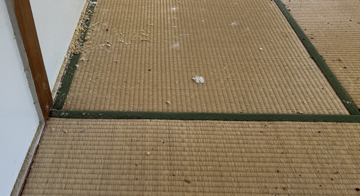 ハウスクリーニング