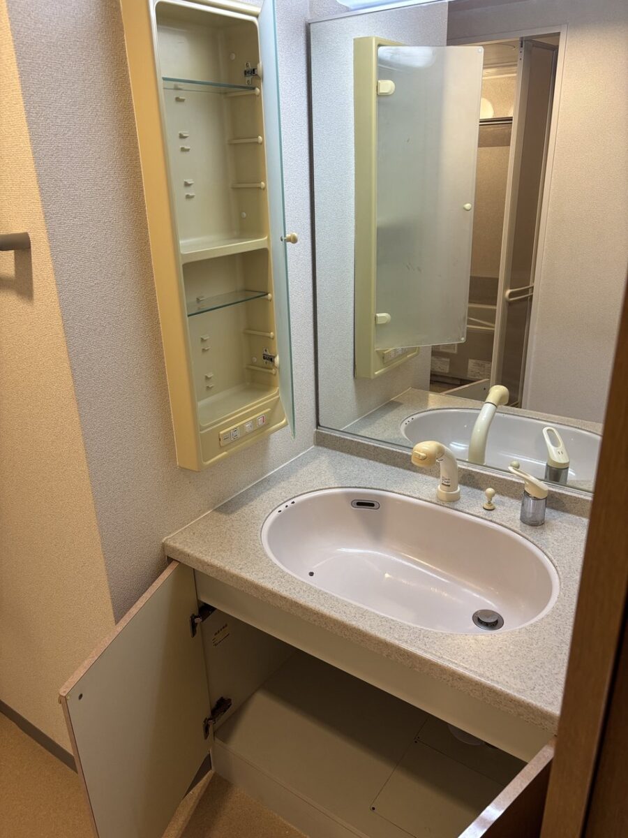 扉を開けて下の収納や鏡裏の棚まで確認する洗面台