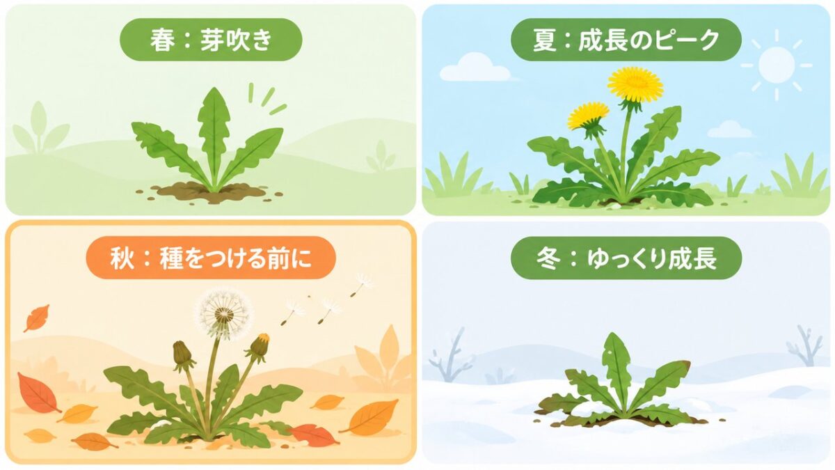 春夏秋冬の雑草の成長と草むしりの目安